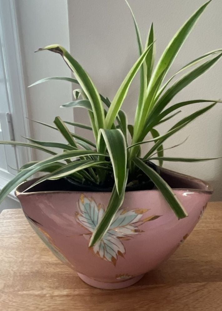 Vintage Pink Ceramic Plant Pot with Hand-Painted Floral Design and Gold Trim 1
