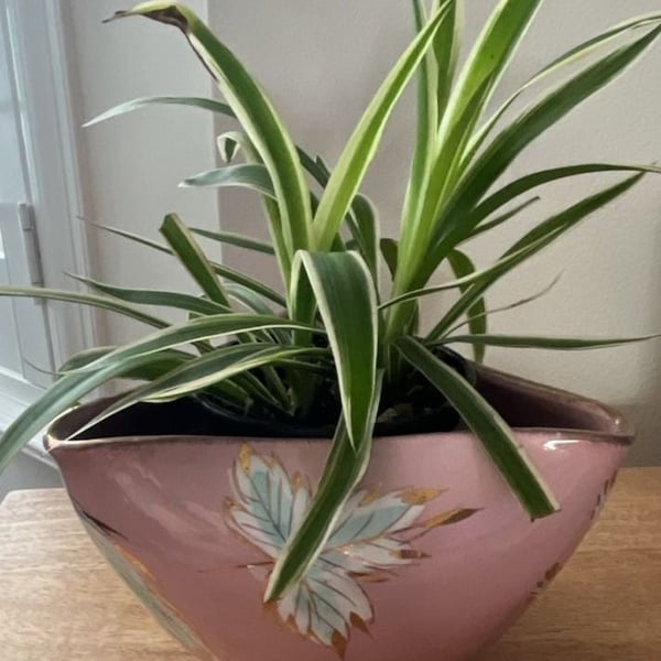 Vintage Pink Ceramic Plant Pot with Hand-Painted Floral Design and Gold Trim