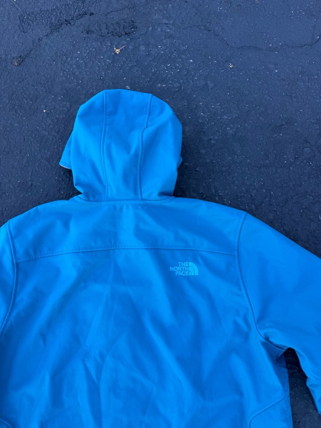 The North Face PRS Faux Fur Lining Jacket Size L Egyptian Blue 10