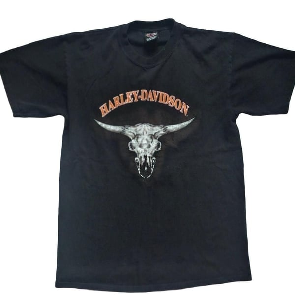 Vintage 2000 Harley-Davidson T-Shirt Size L Black Frontier Lincoln Nebraska