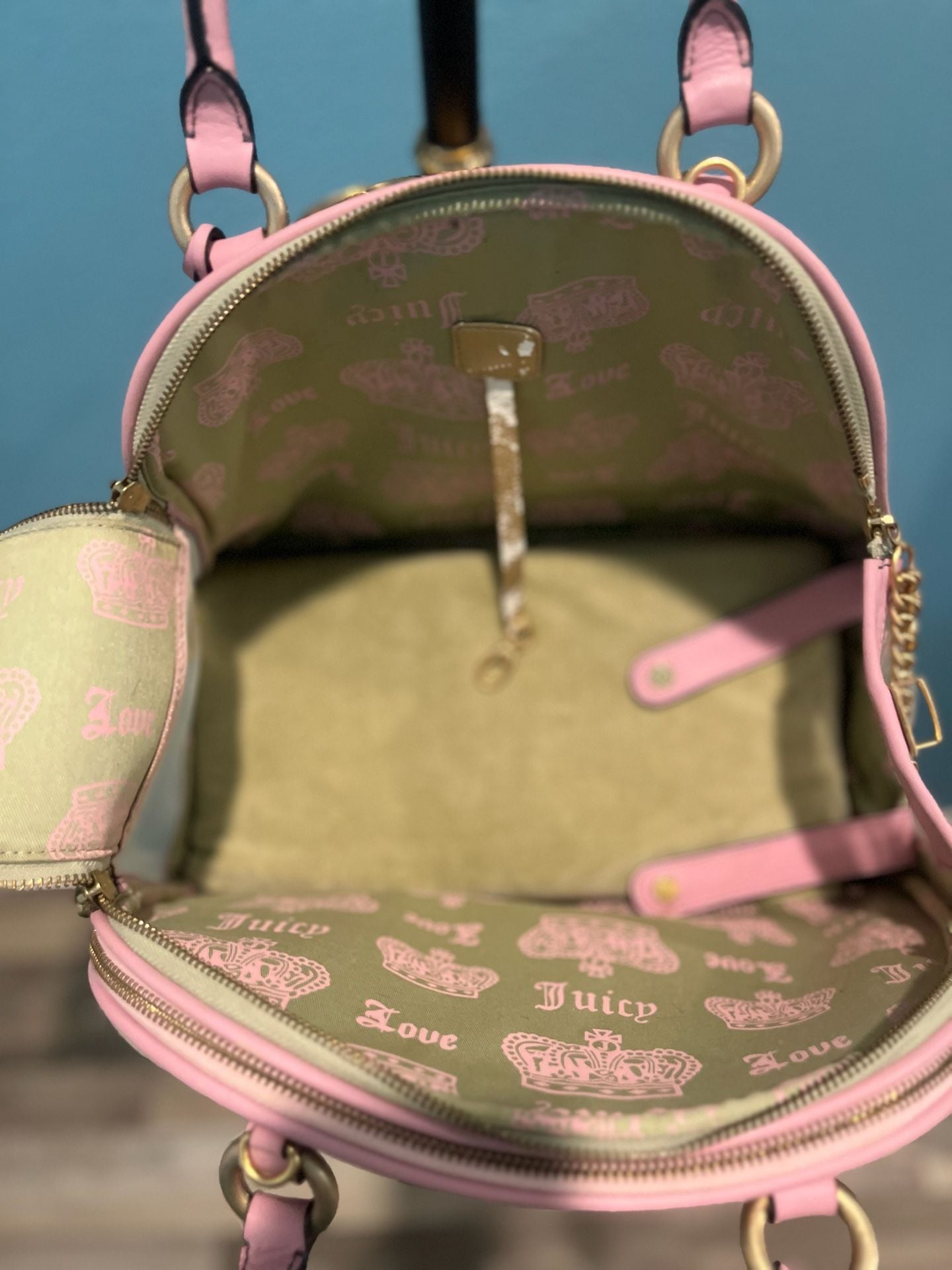 Juicy Couture Pet Carrier Pink Green Velour Dog Bag 10