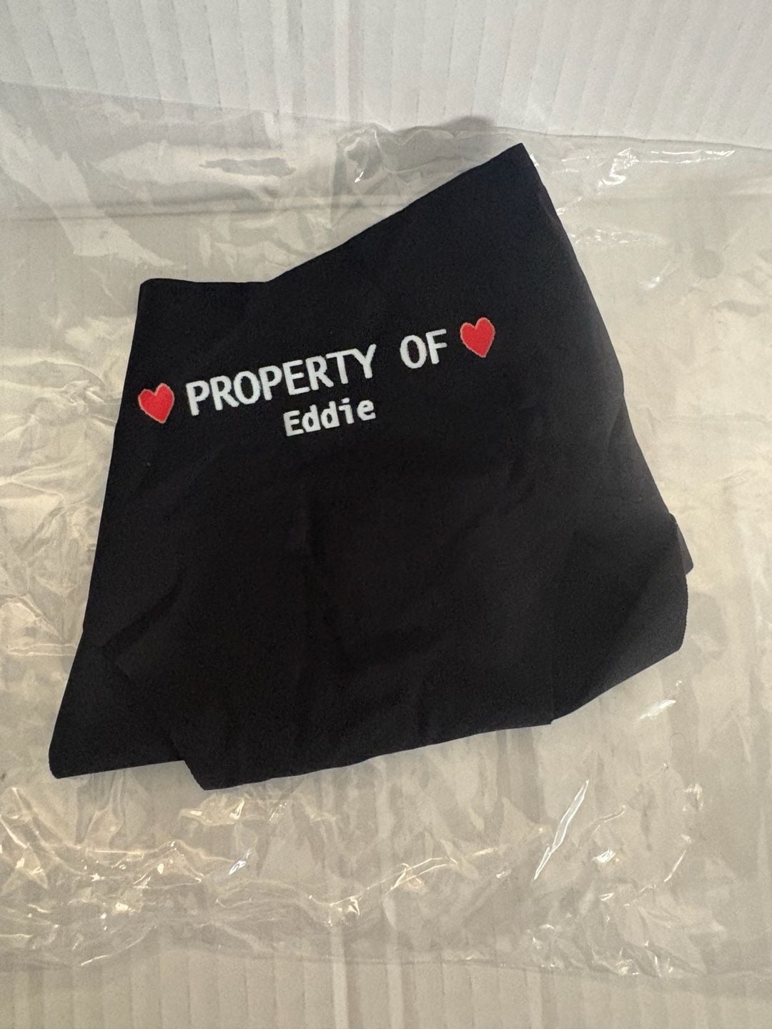 Custom Property of Eddie Women's Lace Trim Panties Black 2