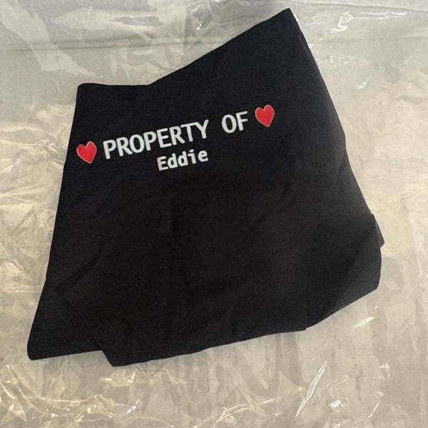 Custom Property of Eddie Women's Lace Trim Panties Black