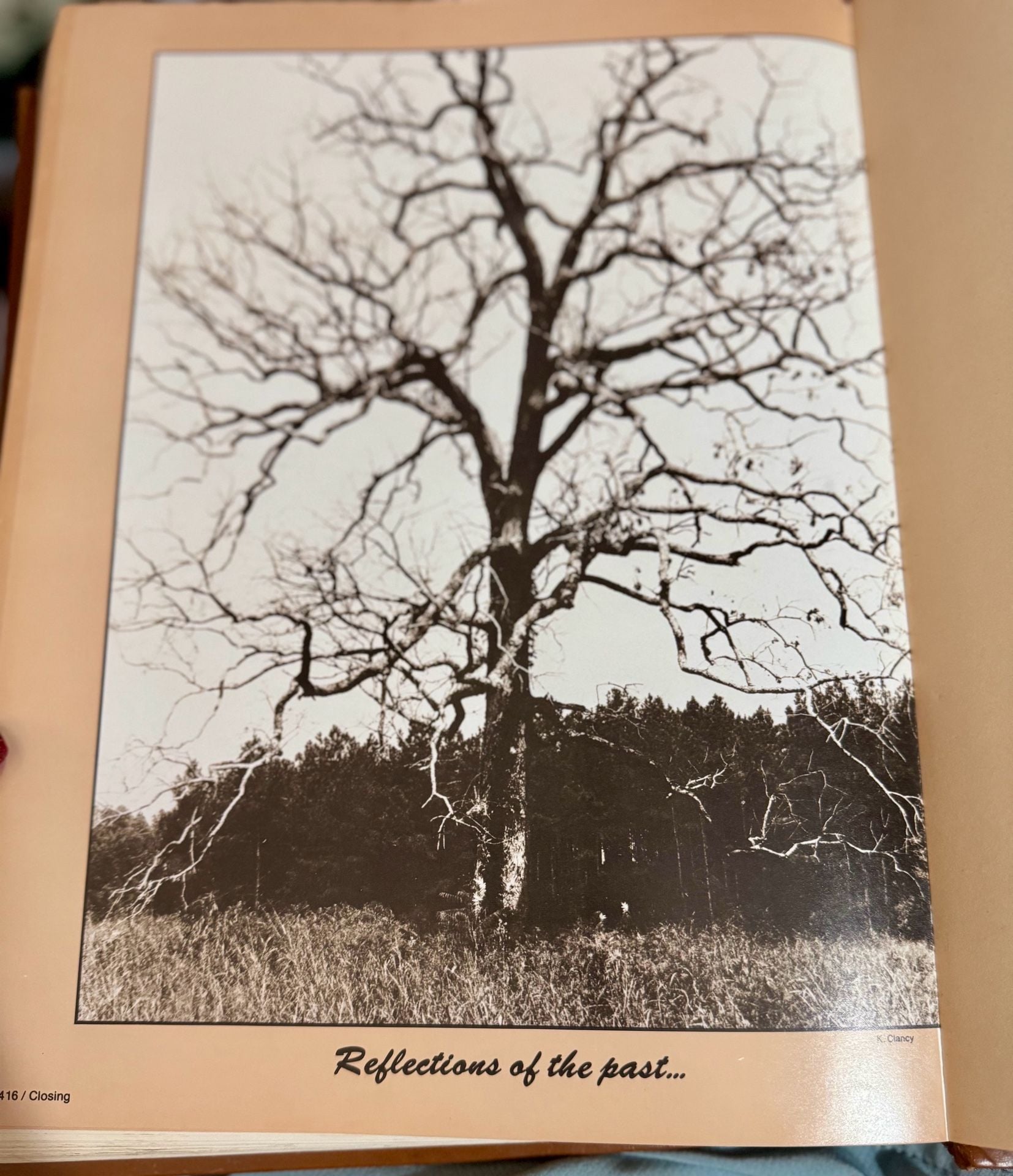 Mississippi State University 1983 Reveille Yearbook Annual (*SEE Detailed Description!) 12