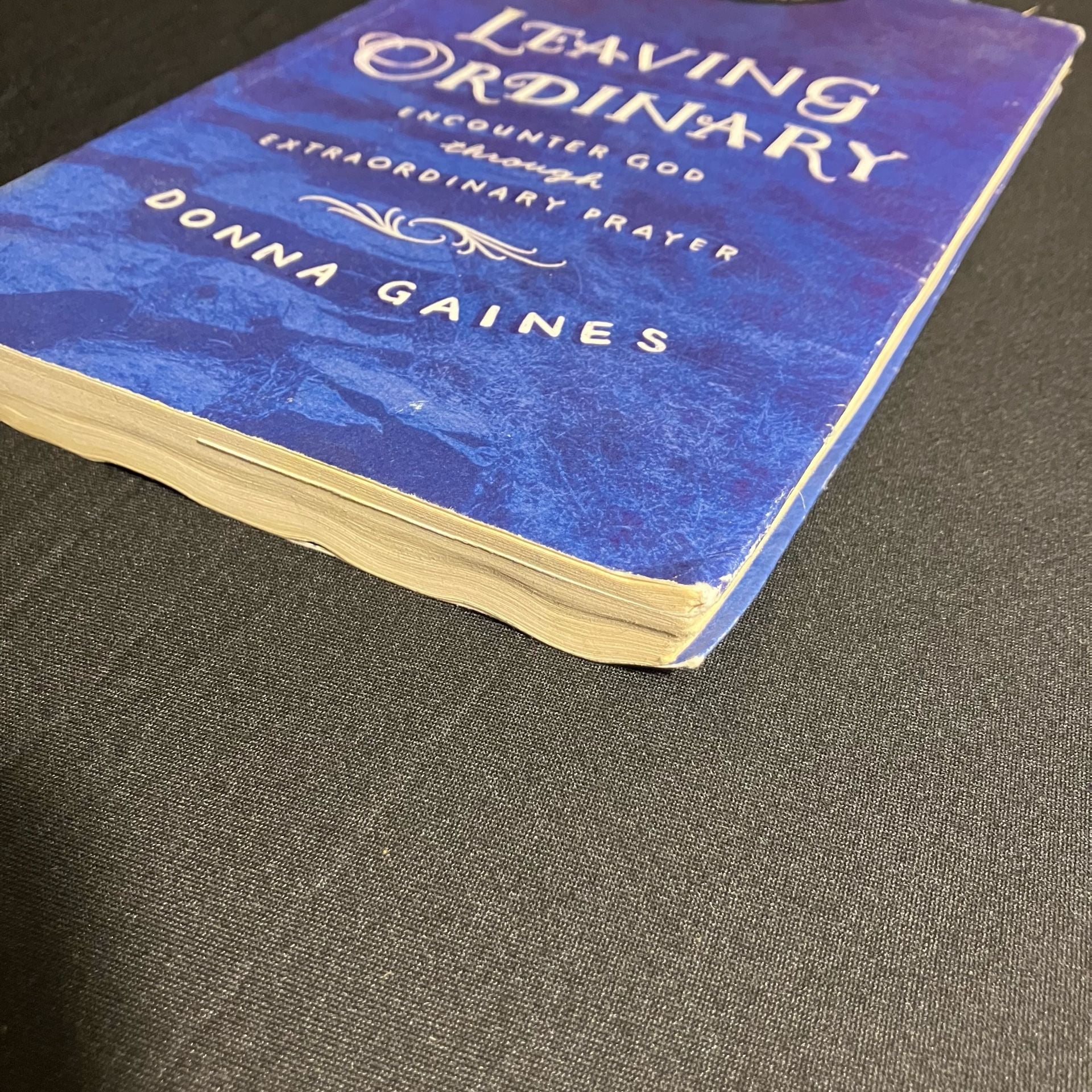 Thomas Nelson Leaving Ordinary Paperback Donna Gaines 6
