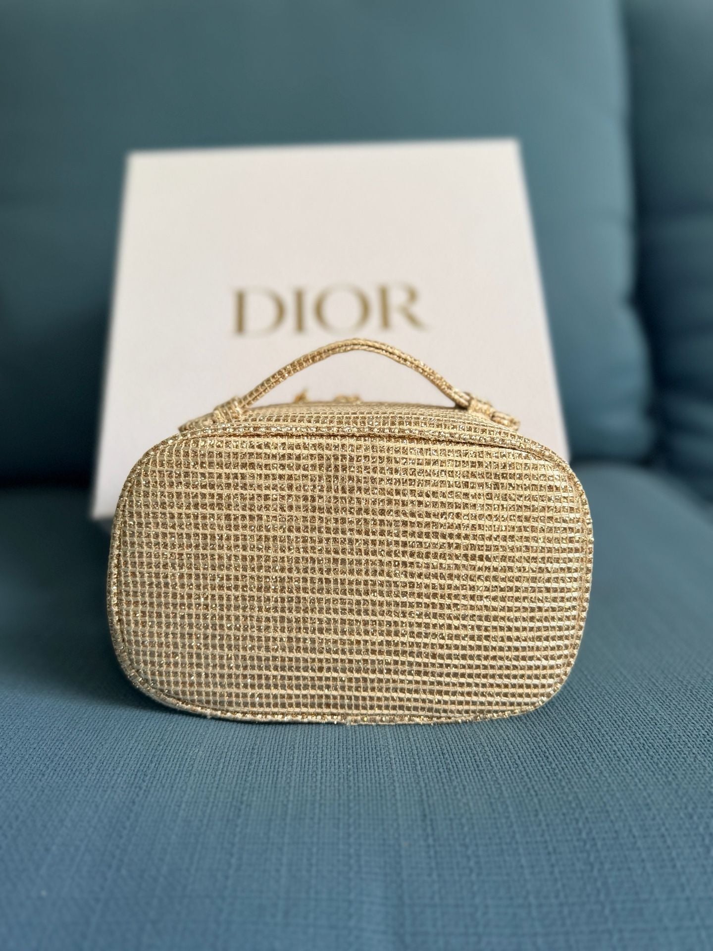 Dior Gold Makeup Pouch Clutch Bag Limited Edition Holiday Christmas 10