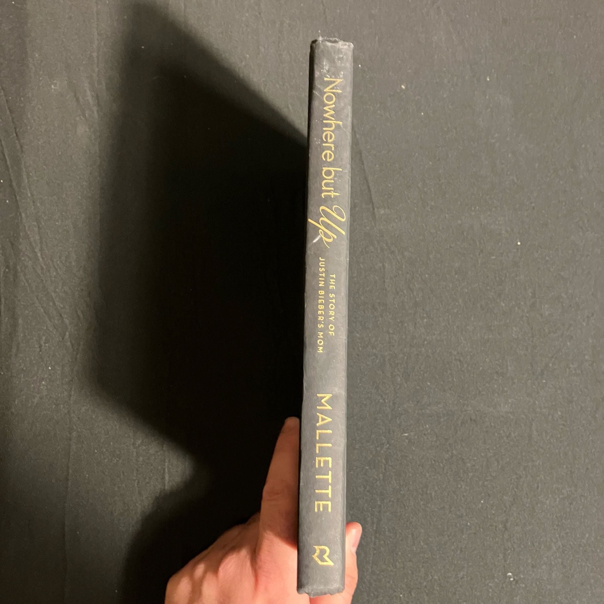 Nowhere But Up By Pattie Mallette Hardcover 4