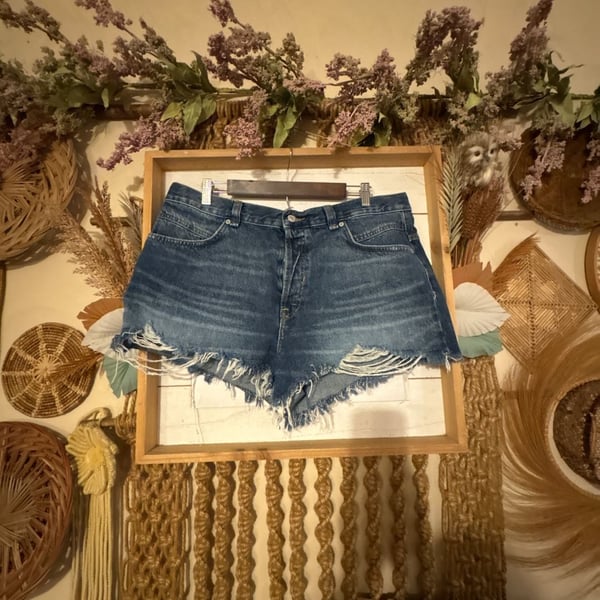 We The Free Denim Shorts Size 32 Distressed Cut Off