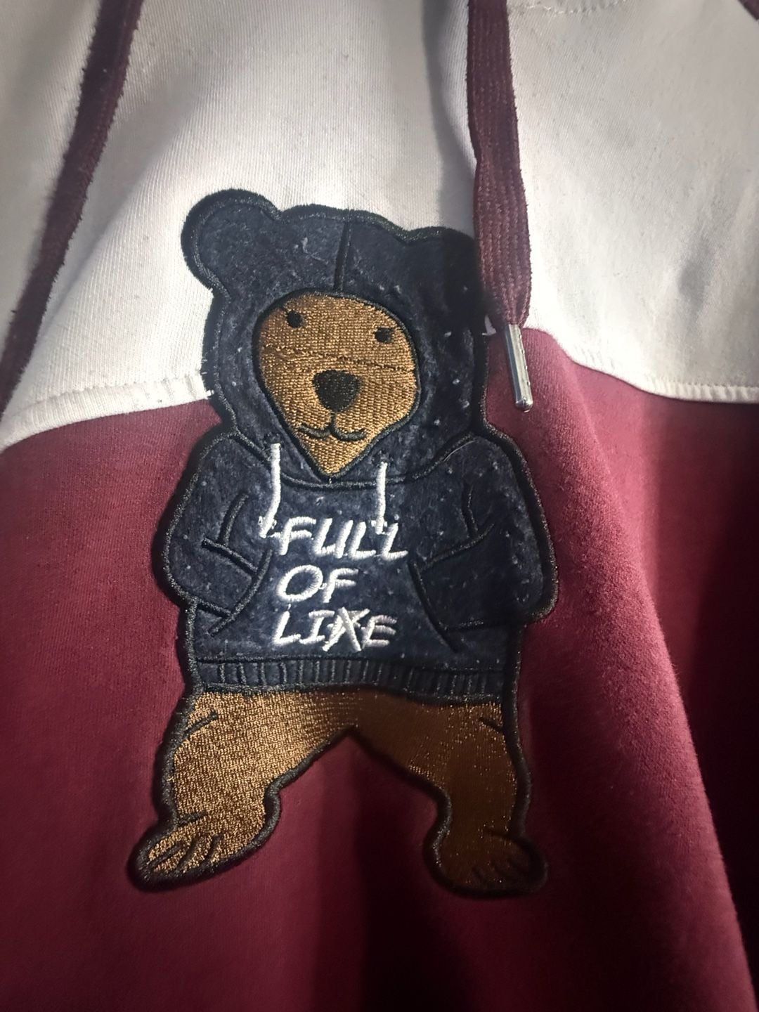 Bear The Beams Full of Life Teddy Bear Hoodie Men’s L Colorblock Streetwear 4