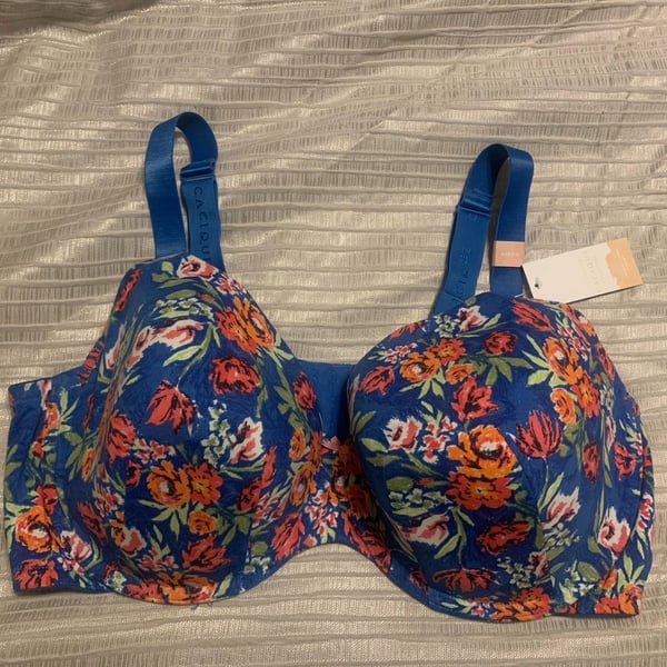 Cacique The Cotton Collection Lightly Lined T-Shirt Bra Size 46DDD Blue Floral