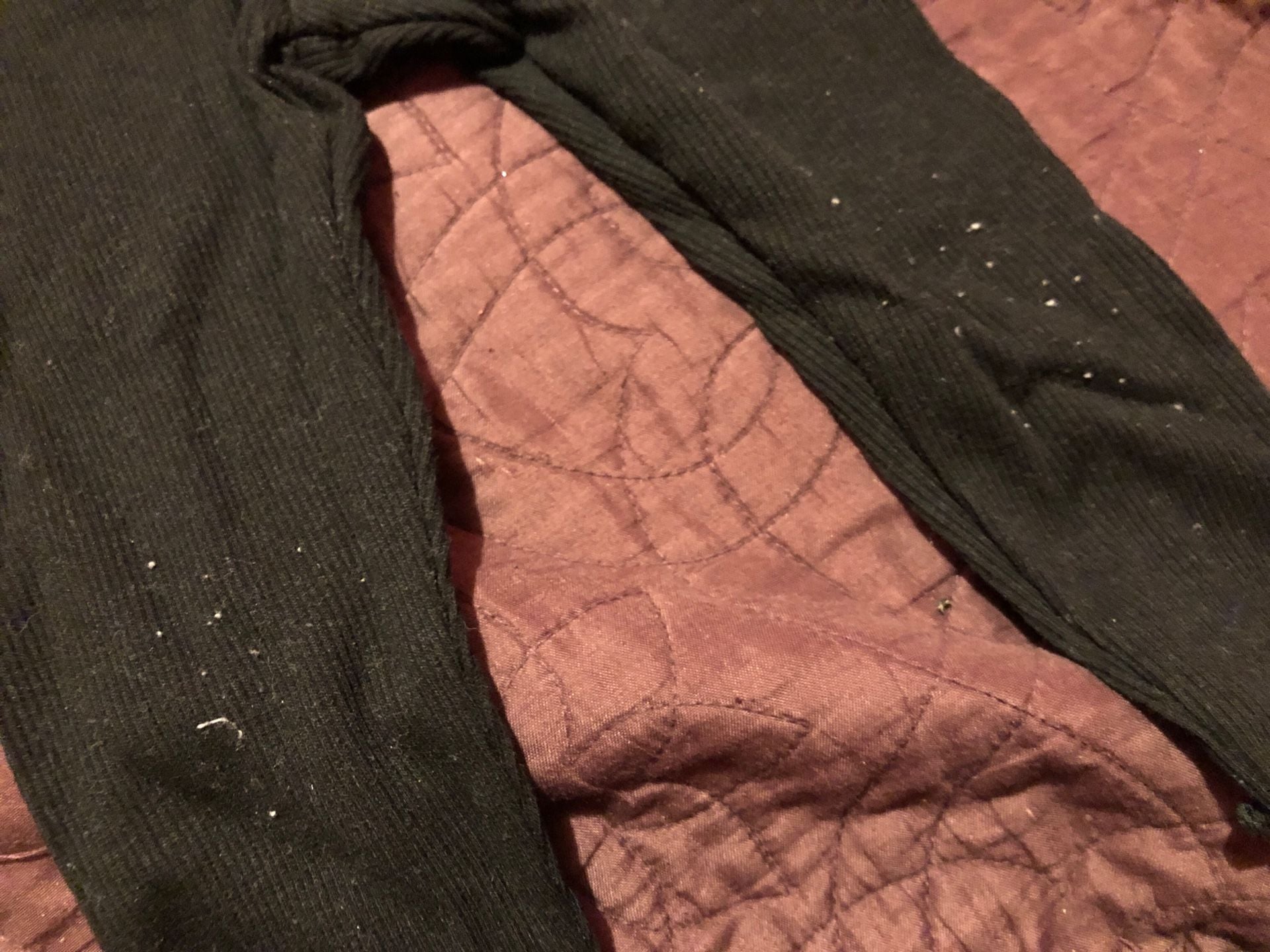 Garanimals Ribbed Leggings Size 12M Black Cotton Blend 3
