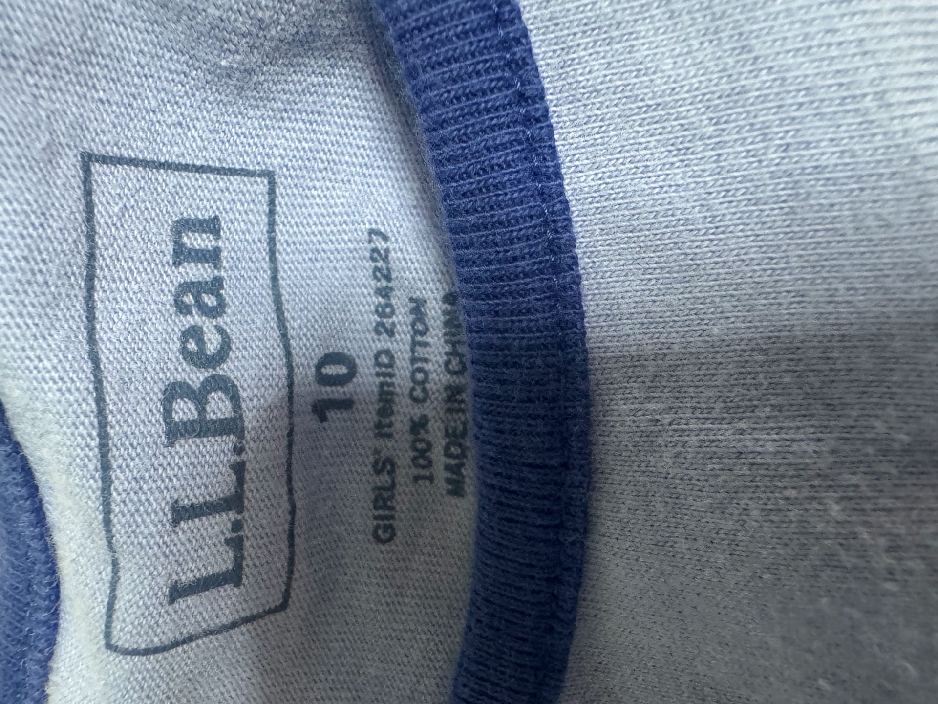 L.L. Bean Butterfly Dress Size 10 Blue Cotton Long Sleeve 2