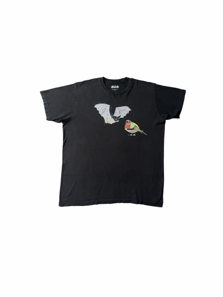 Buy Batman & Robin DC Comics Mens T-Shirt - Literally A Bat & Robin, 1