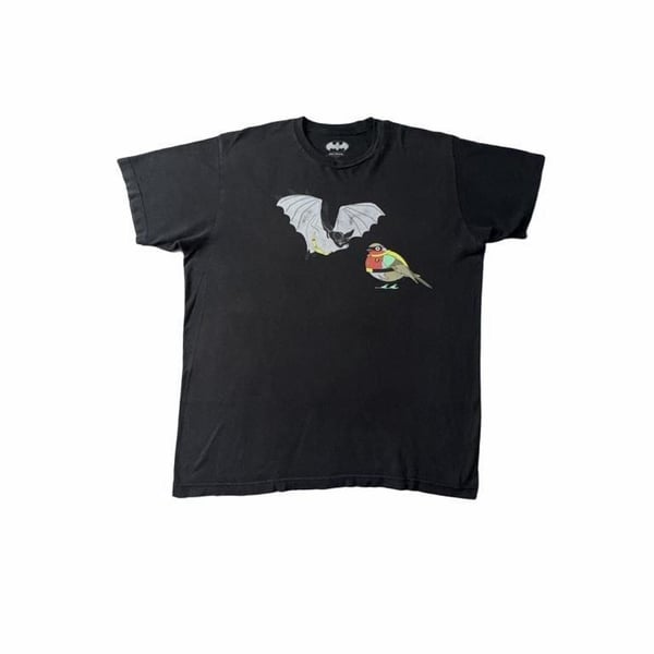 Buy Batman & Robin DC Comics Mens T-Shirt - Literally A Bat & Robin,
