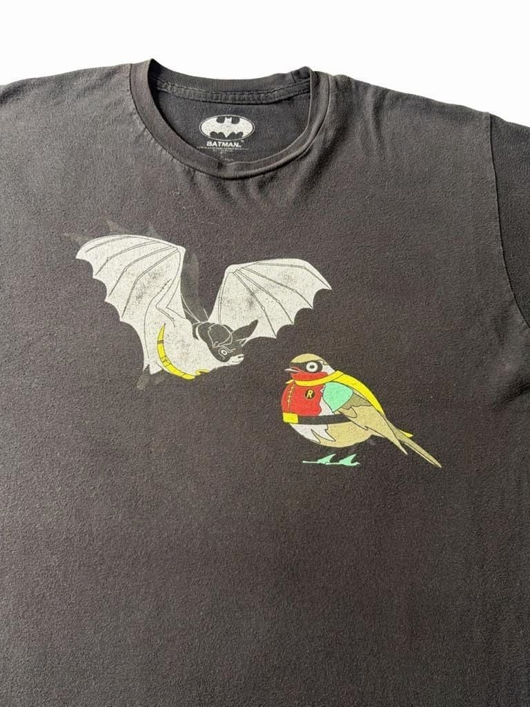 Buy Batman & Robin DC Comics Mens T-Shirt - Literally A Bat & Robin, 3