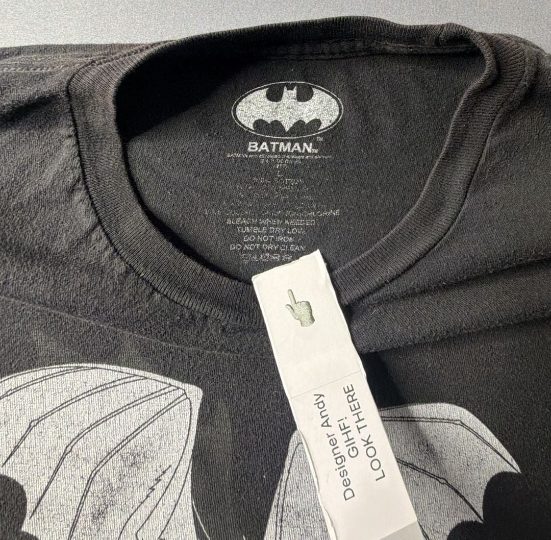 Buy Batman & Robin DC Comics Mens T-Shirt - Literally A Bat & Robin, 7