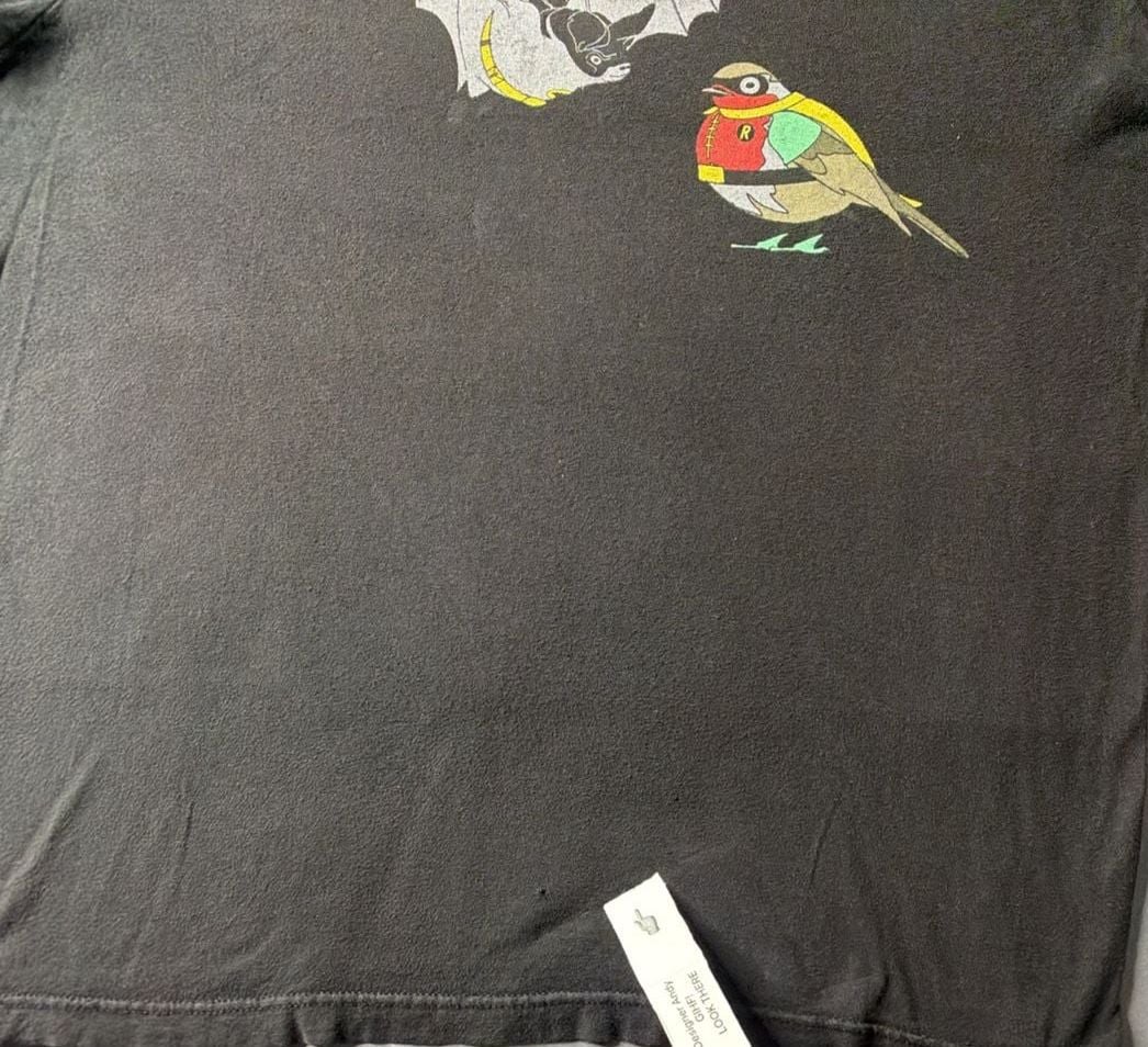 Buy Batman & Robin DC Comics Mens T-Shirt - Literally A Bat & Robin, 6