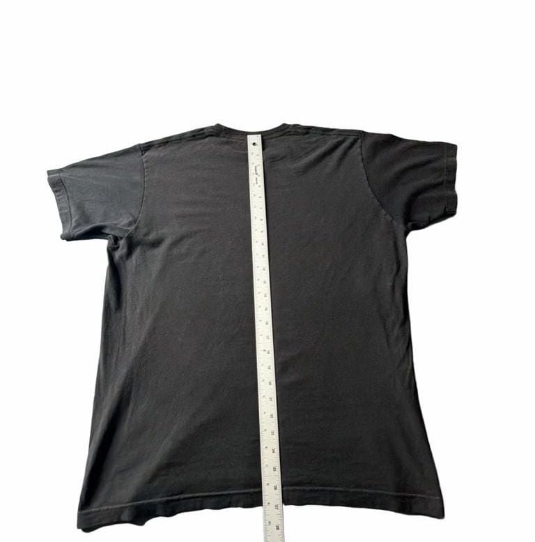 Buy Batman & Robin DC Comics Mens T-Shirt - Literally A Bat & Robin, 8