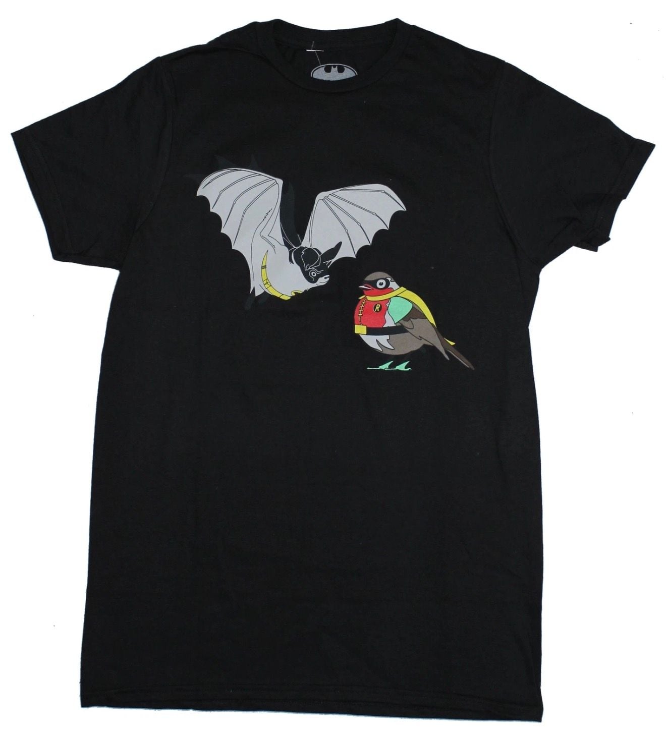 Buy Batman & Robin DC Comics Mens T-Shirt - Literally A Bat & Robin, 9