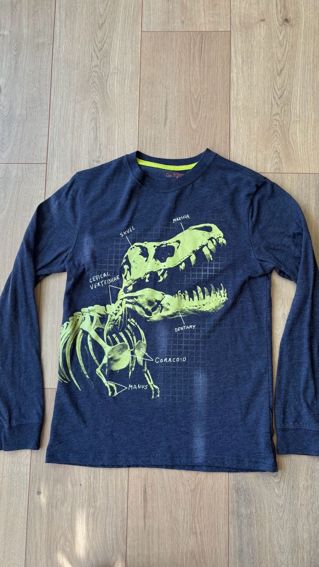 Cat & Jack Dinosaur Skeleton Long Sleeve Shirt Size L (12/14) 2