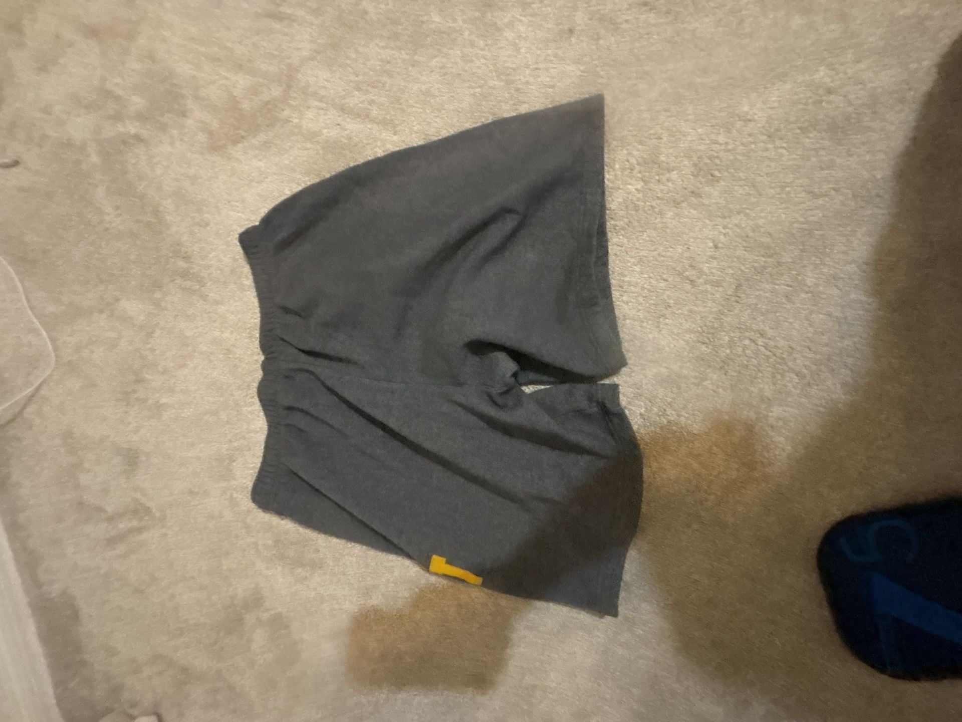 Nike JDI Fleece Shorts Size L Gray Just Do It 7