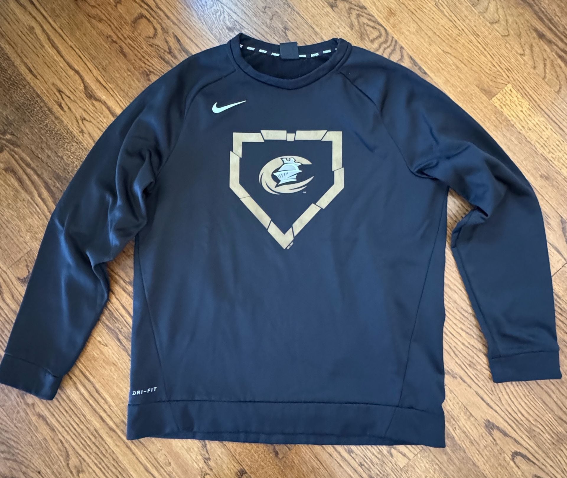 Nike Charlotte Knights Dri-Fit Sweatshirt Size L Black Baseball Pullover 2