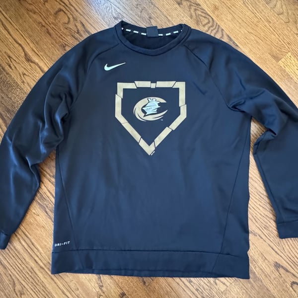 Nike Charlotte Knights Dri-Fit Sweatshirt Size L Black Baseball Pullover