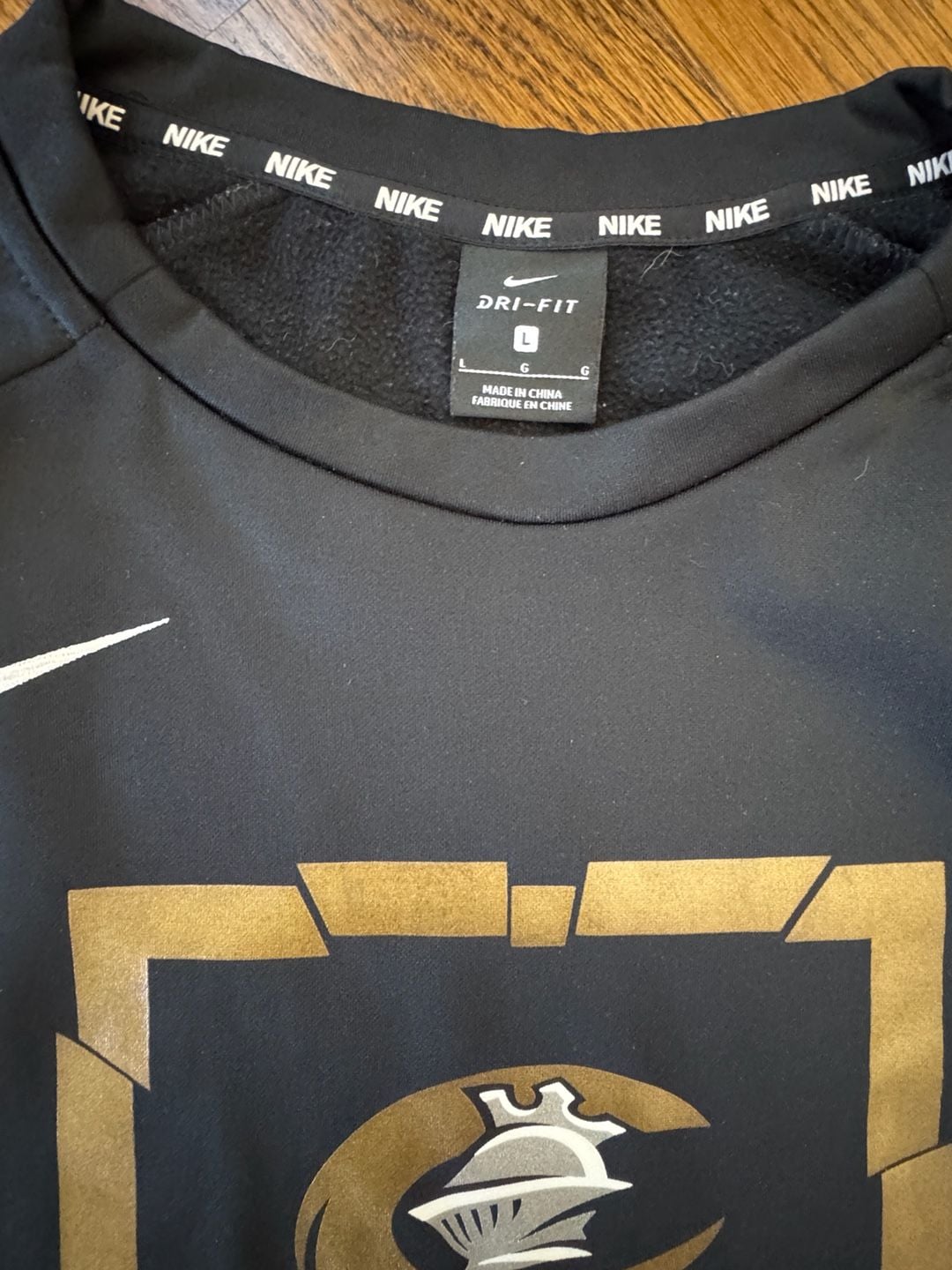Nike Charlotte Knights Dri-Fit Sweatshirt Size L Black Baseball Pullover 4