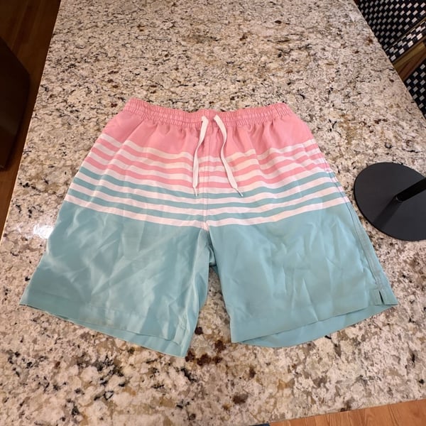 Chubbies Swim Trunks The On The Horizon Size XL Pink Blue Striped Mesh Lined