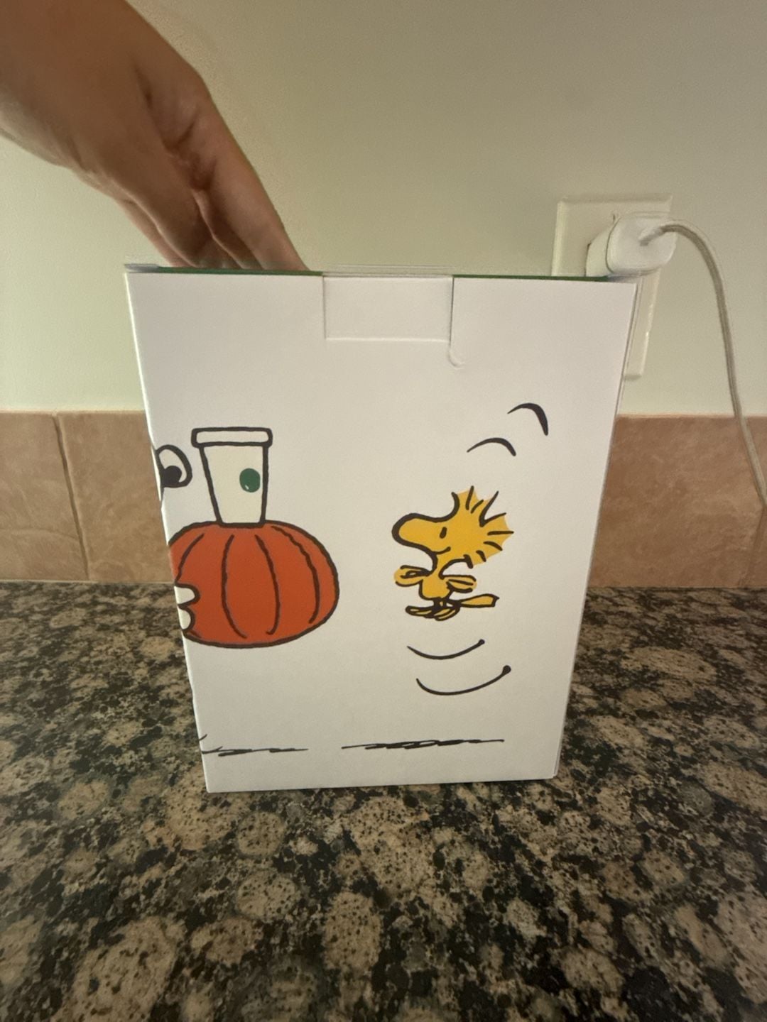 Starbucks Peanuts Snoopy Plush 3