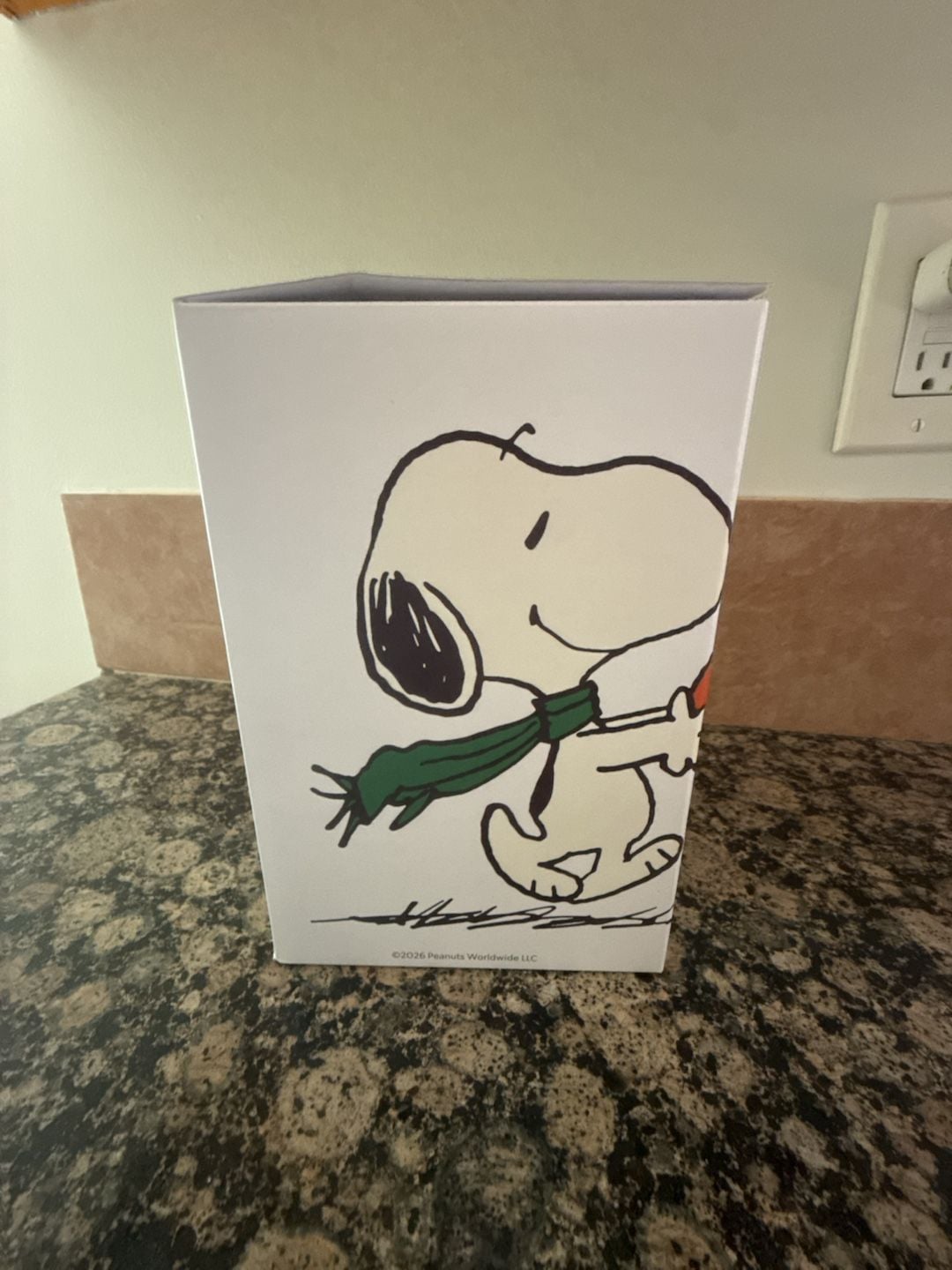 Starbucks Peanuts Snoopy Plush 4