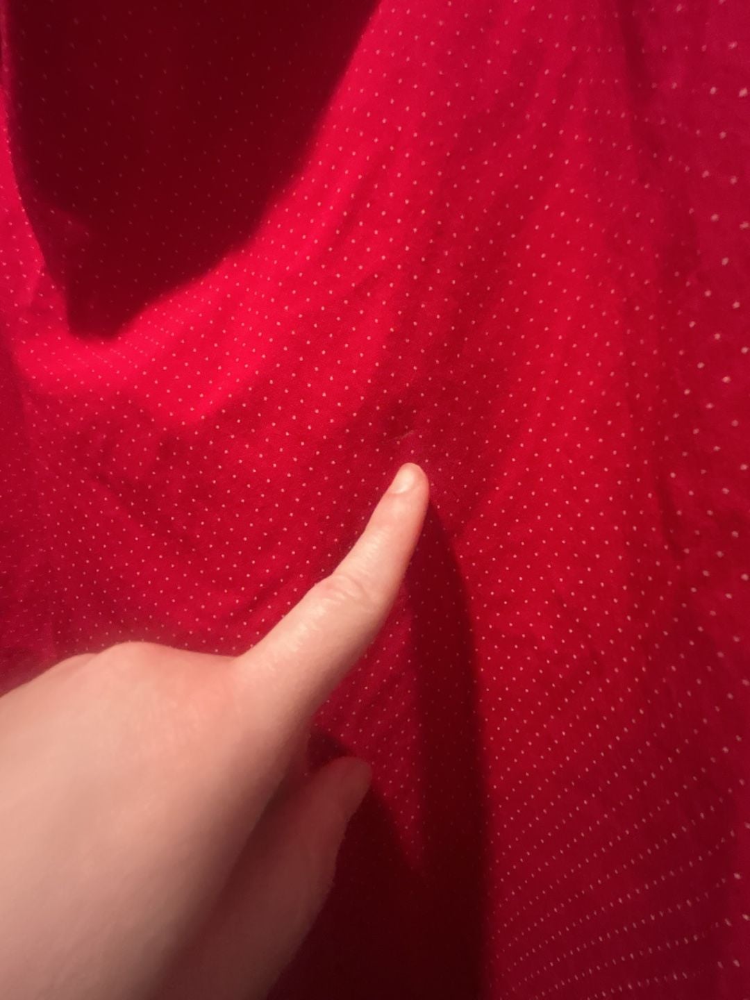 Dalia Pants Size 18W Red White Polka Dot Capris 5
