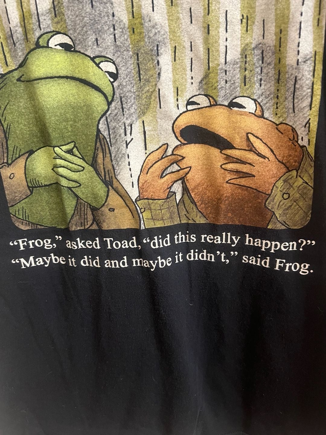 Frog And Toad Something Happened Quote T-Shirt Black 3