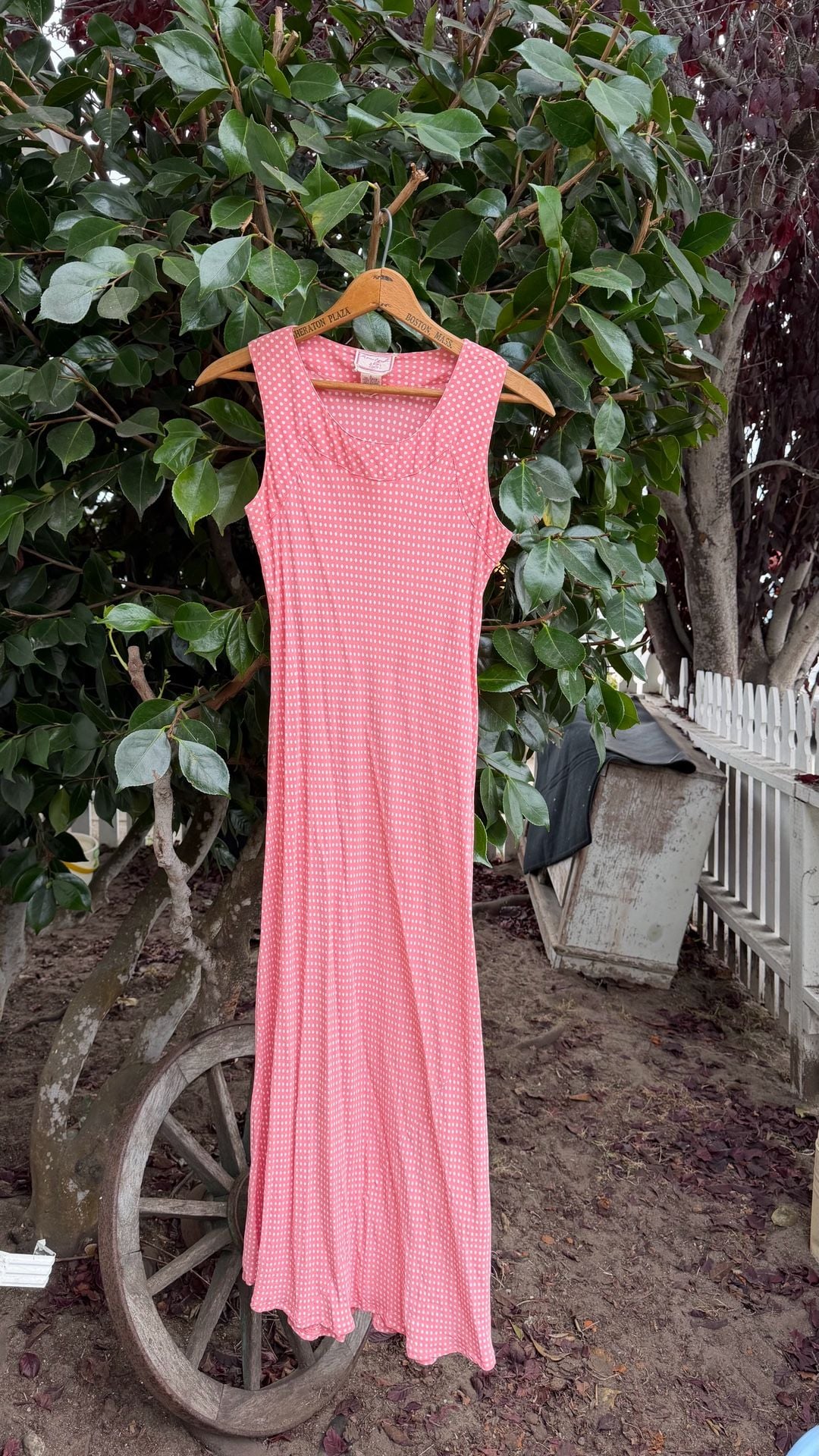 April Cornel Swiss Dot Crepe Maxi Dress 2