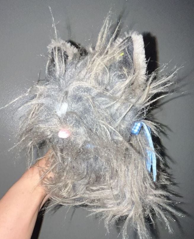 Rubies Costume Co. The Wizard of Oz Toto Dog Plush Toy 1