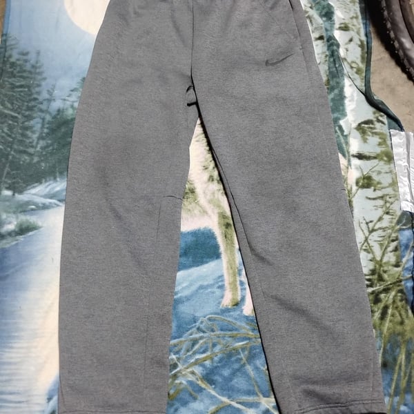 Nike Therma-Fit Fleece Pants Gray