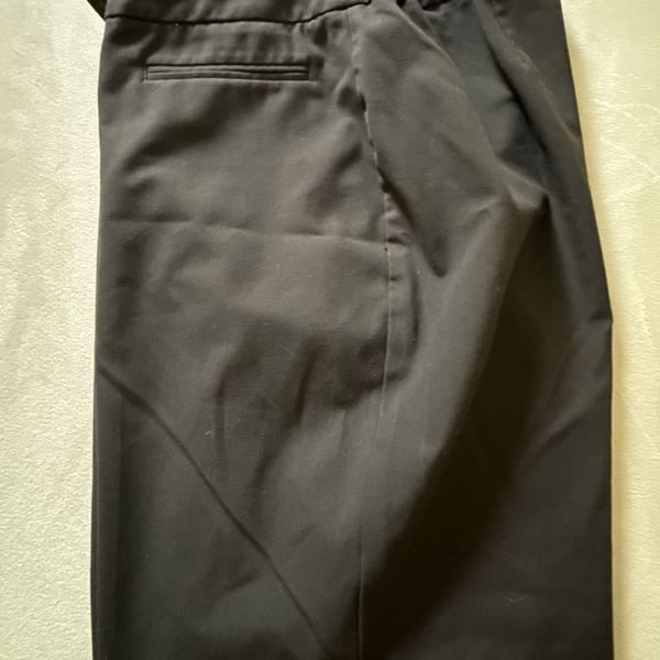Talbots Curvy Pants Size 16WP Brown Trousers