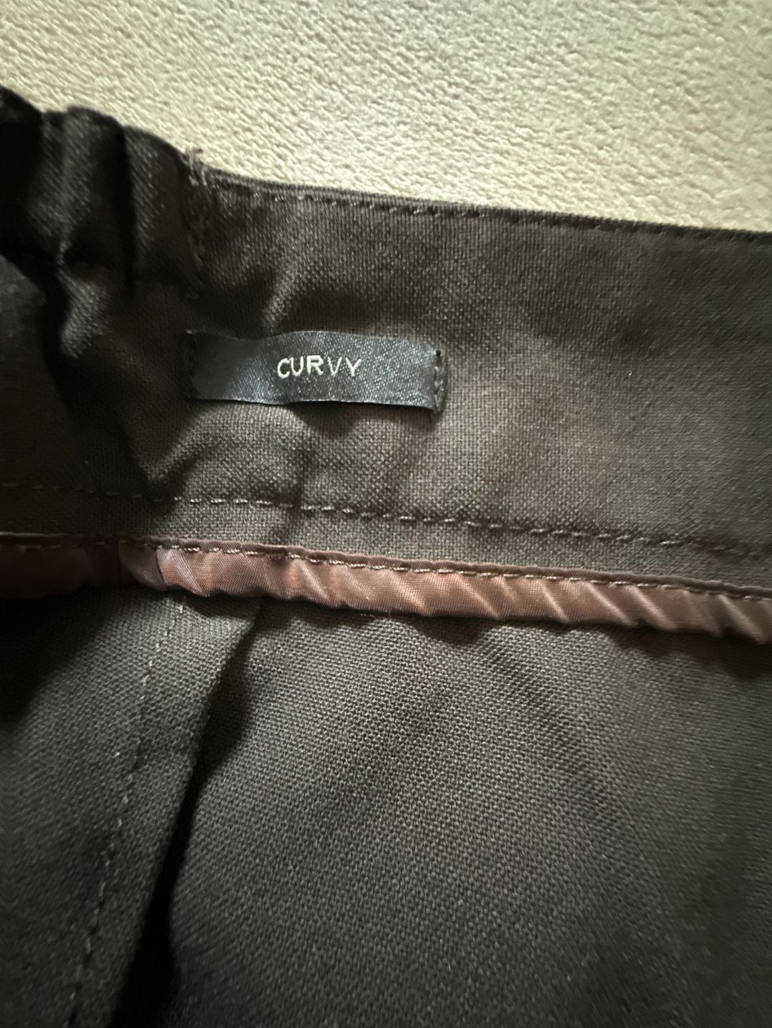 Talbots Curvy Pants Size 16WP Brown Trousers 6