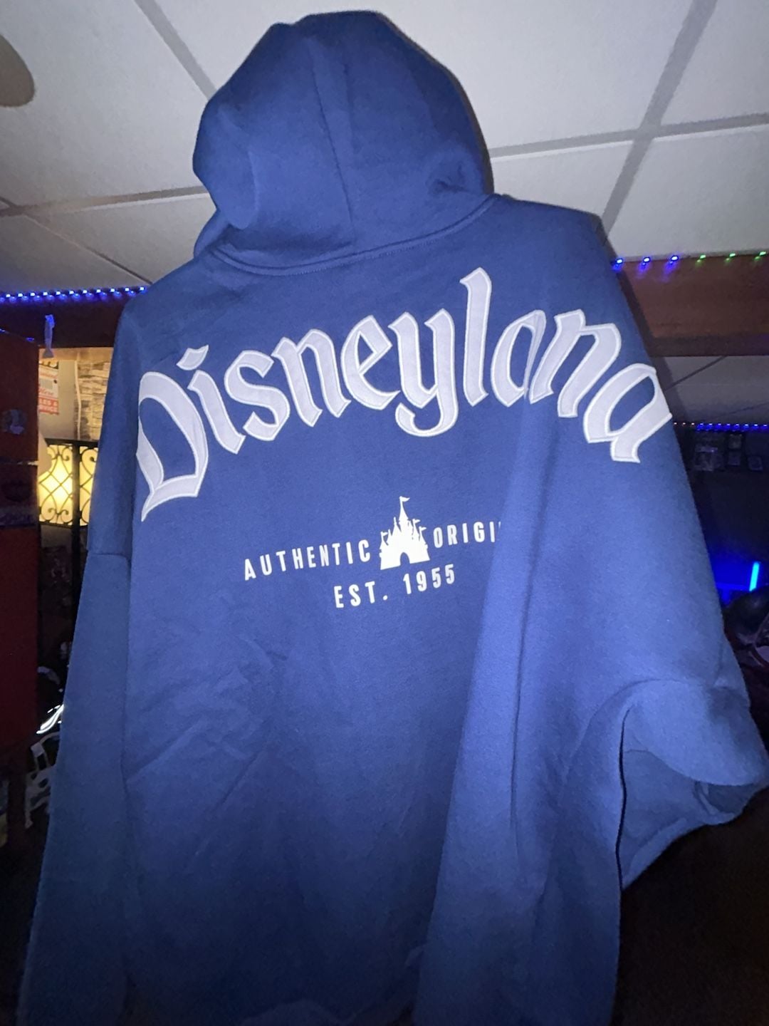 Disney Disneyland Zip-Up Hoodie Size XL Blue Authentic Original Est 1955 6