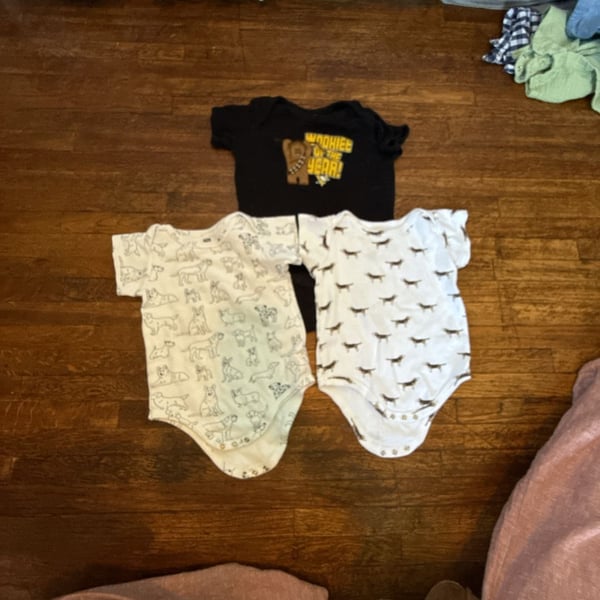 Lot of 3 24M Bodysuits