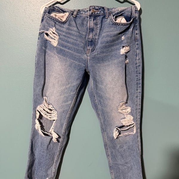 American Eagle Distressed Mom Jeans Size 12 Short