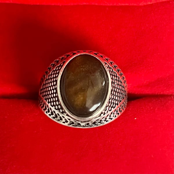Tiger's Eye Ornate Design Titanium Steel Silver Statement Unisex Ring Size 9