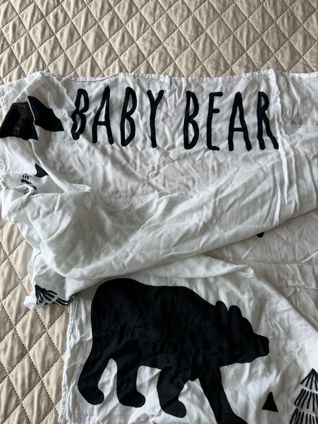 Monthly Milestones Baby Blanket 1