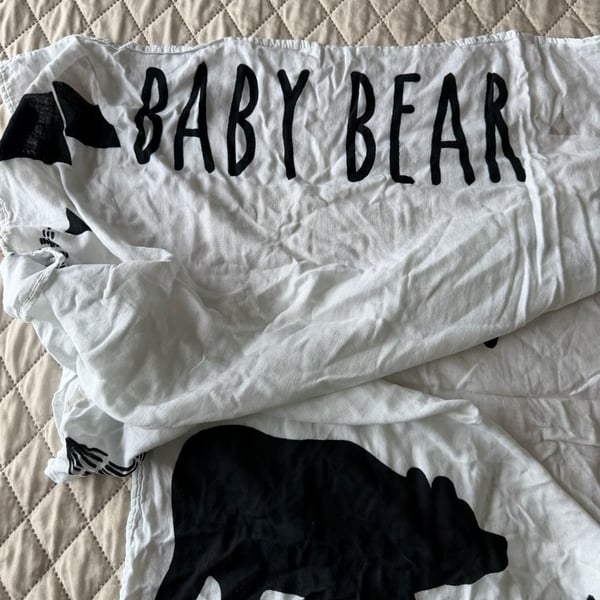 Monthly Milestones Baby Blanket