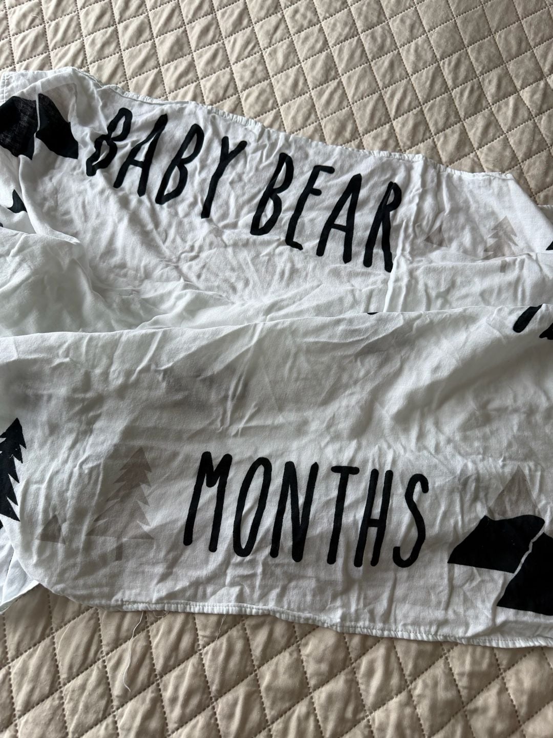 Monthly Milestones Baby Blanket 2