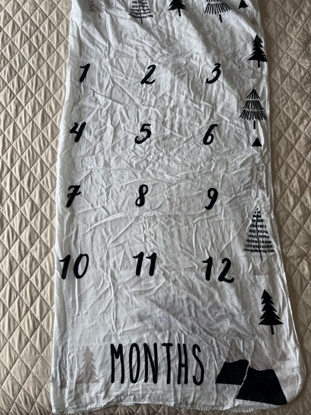 Monthly Milestones Baby Blanket 3
