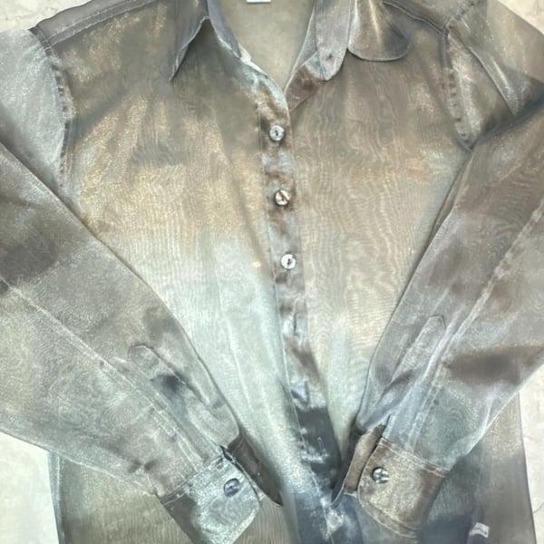 The Limited Button Down Shirt Size XS Silver Shimmer Sheer