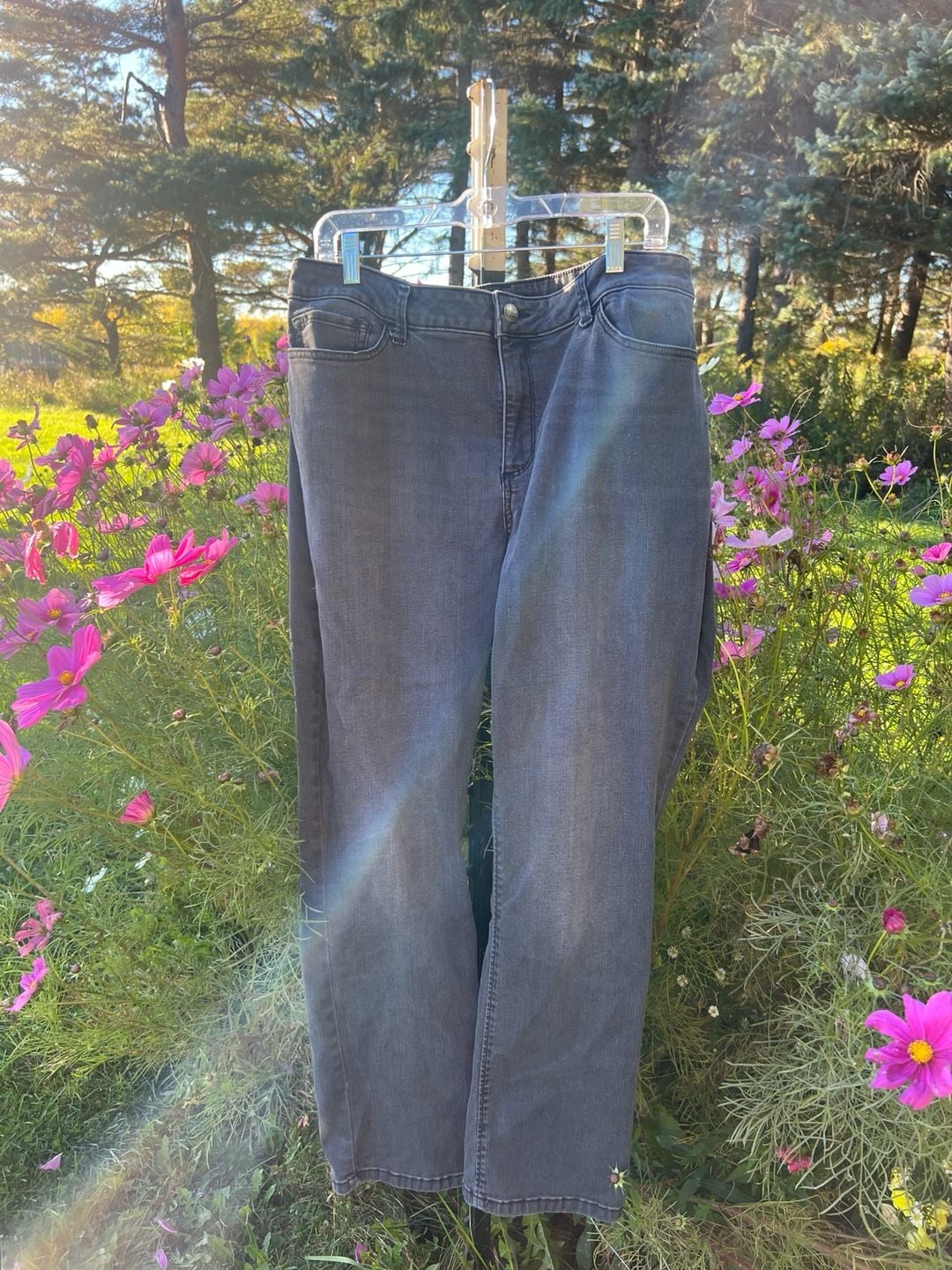 Lee Regular Fit Straight Leg Mid Rise Size 18 Medium 2