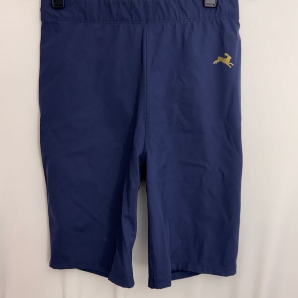 Tracksmith Allston Long Shorts 