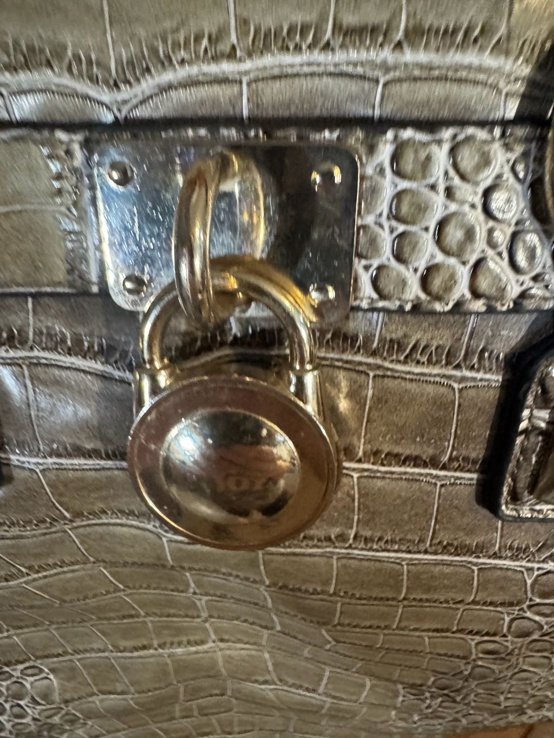 Stylish Handbag Purse with Gold-Tone Strap – No Brand 4